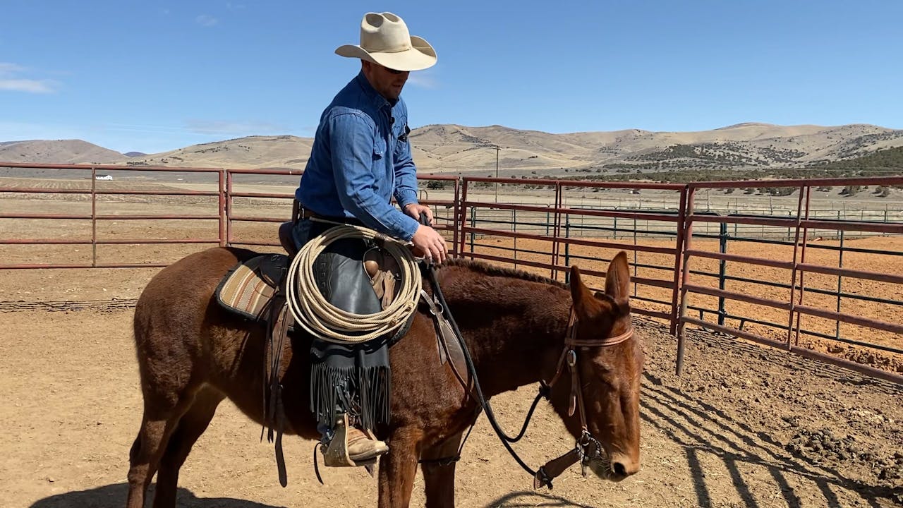 Hannah 2nd Ride Ty Evans Mulemanship