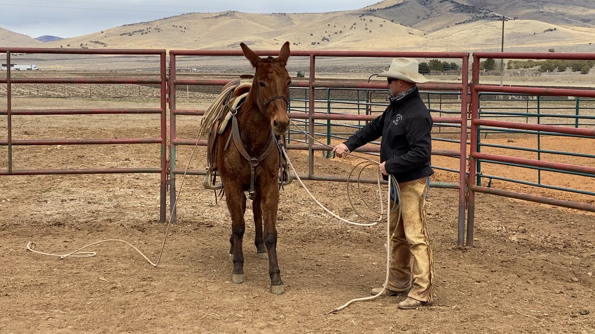 Week 12 Dragging a Log From the Ground