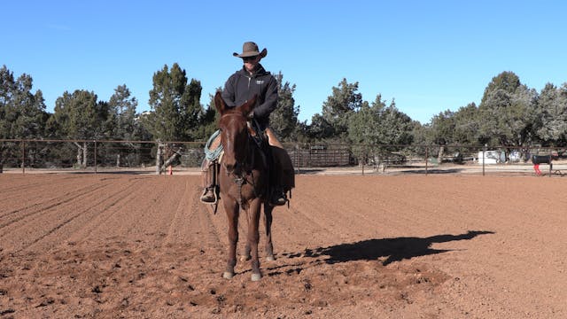 1st Method Moving Hinds (Rein & Leg)
