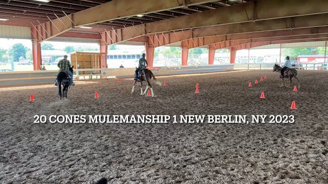 20 Cones Mulemanship 1 New Berlin, NY