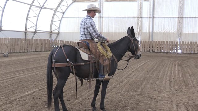 In the Saddle DVD 2 Part 2 "Lateral F...