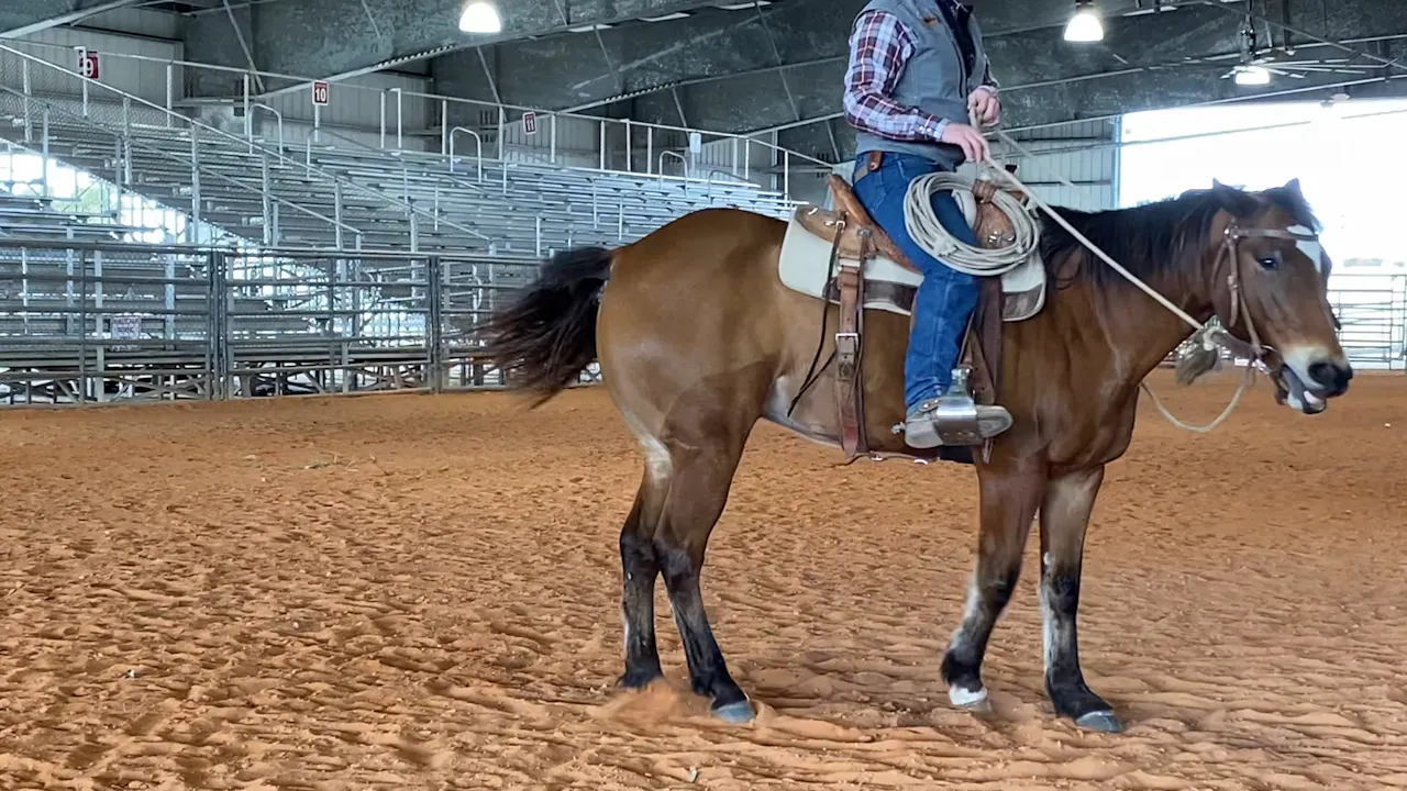Rein Position Explained - Ty Evans Mulemanship