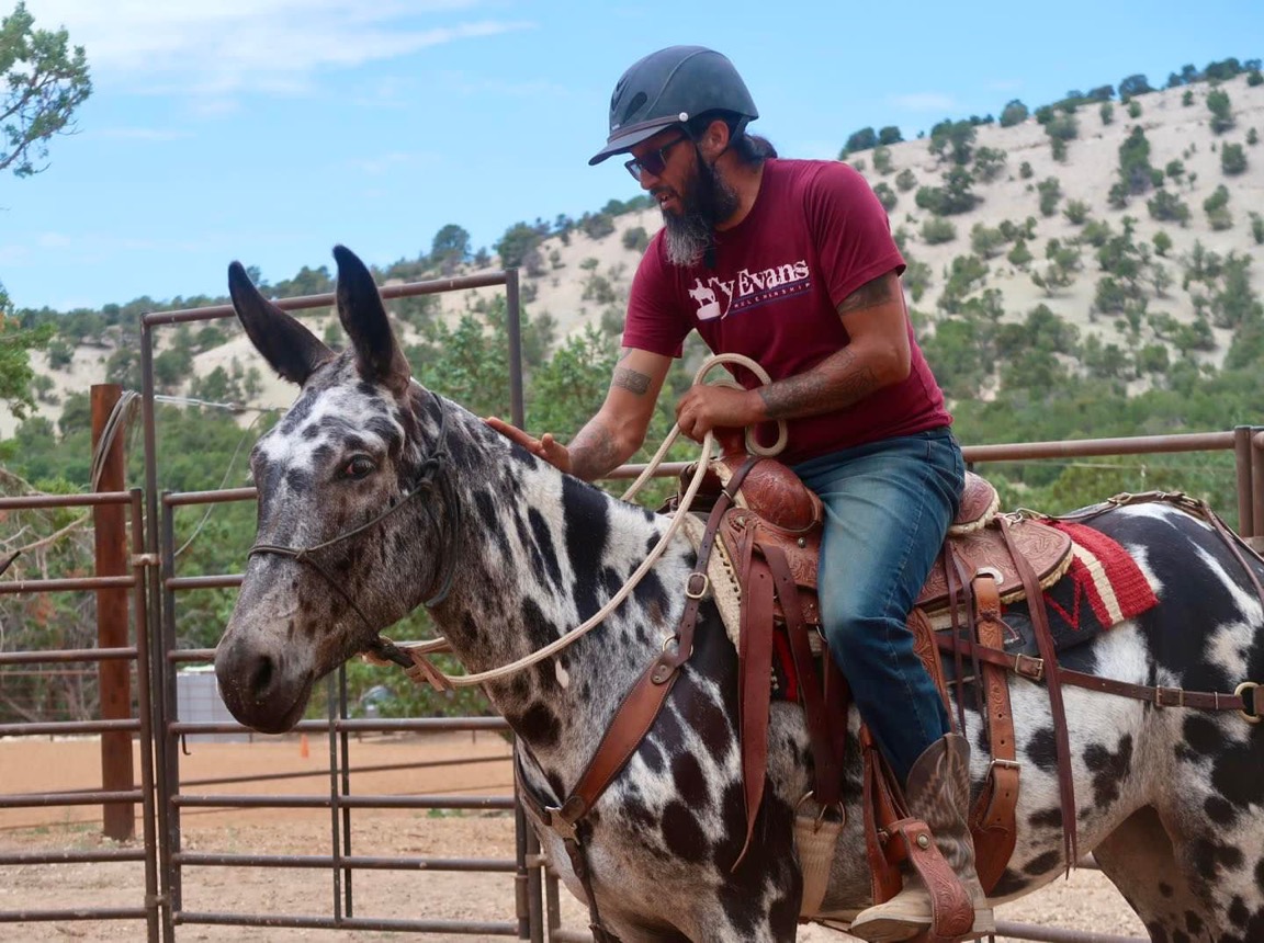 Ty Evans Colt Starting 2024