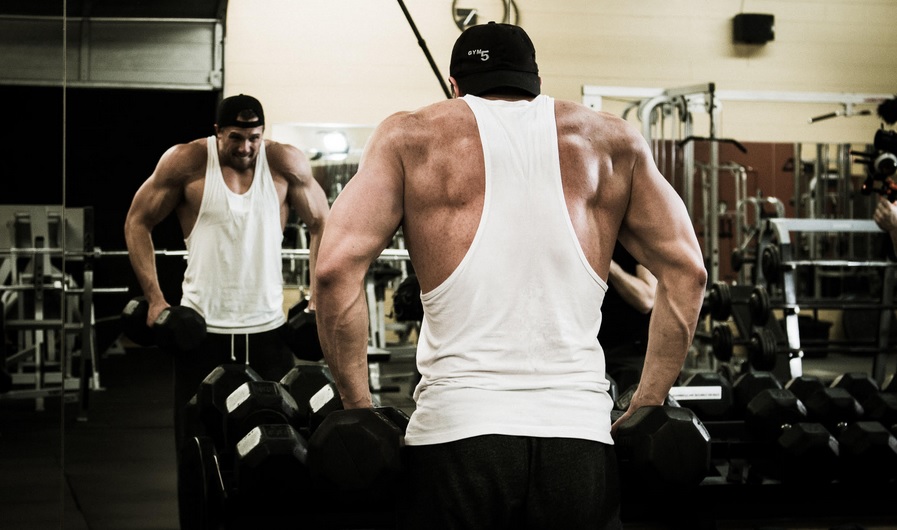 Shoulder Exercise Instructional Videos