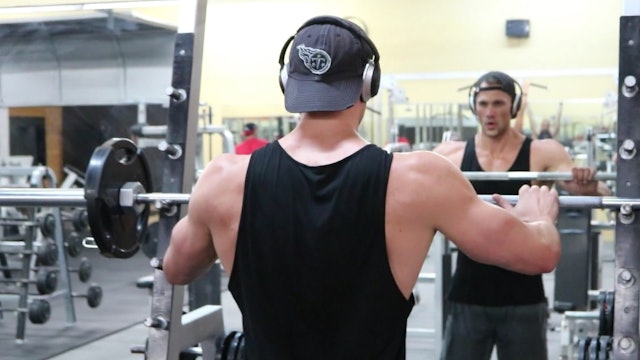 shoulders triceps