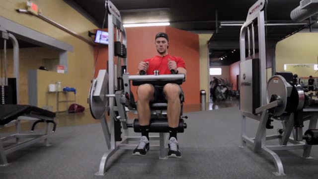 Seated Leg Curl Machine