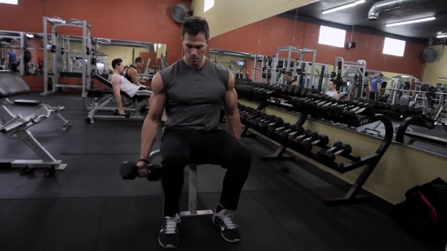 Seated DB Curl