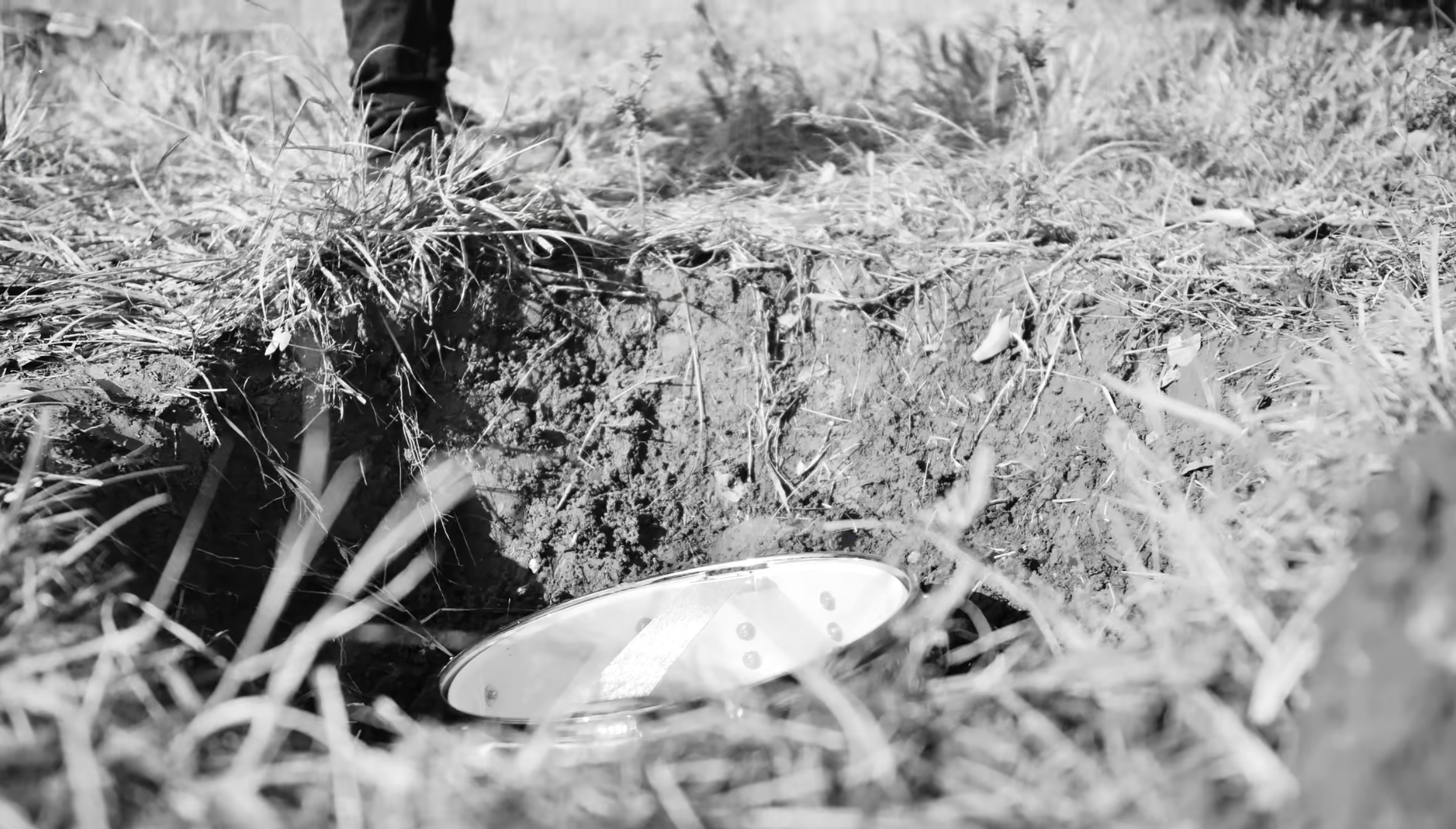 Skeptik Nation - MBS