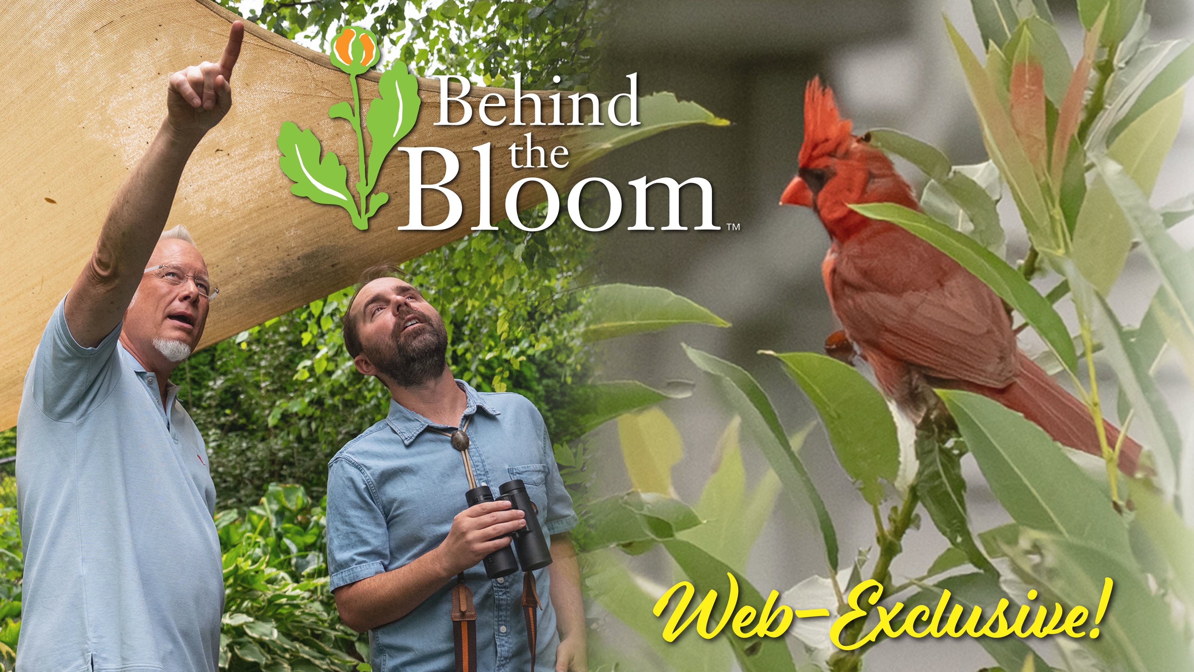 Behind the Bloom – with RJ Pole