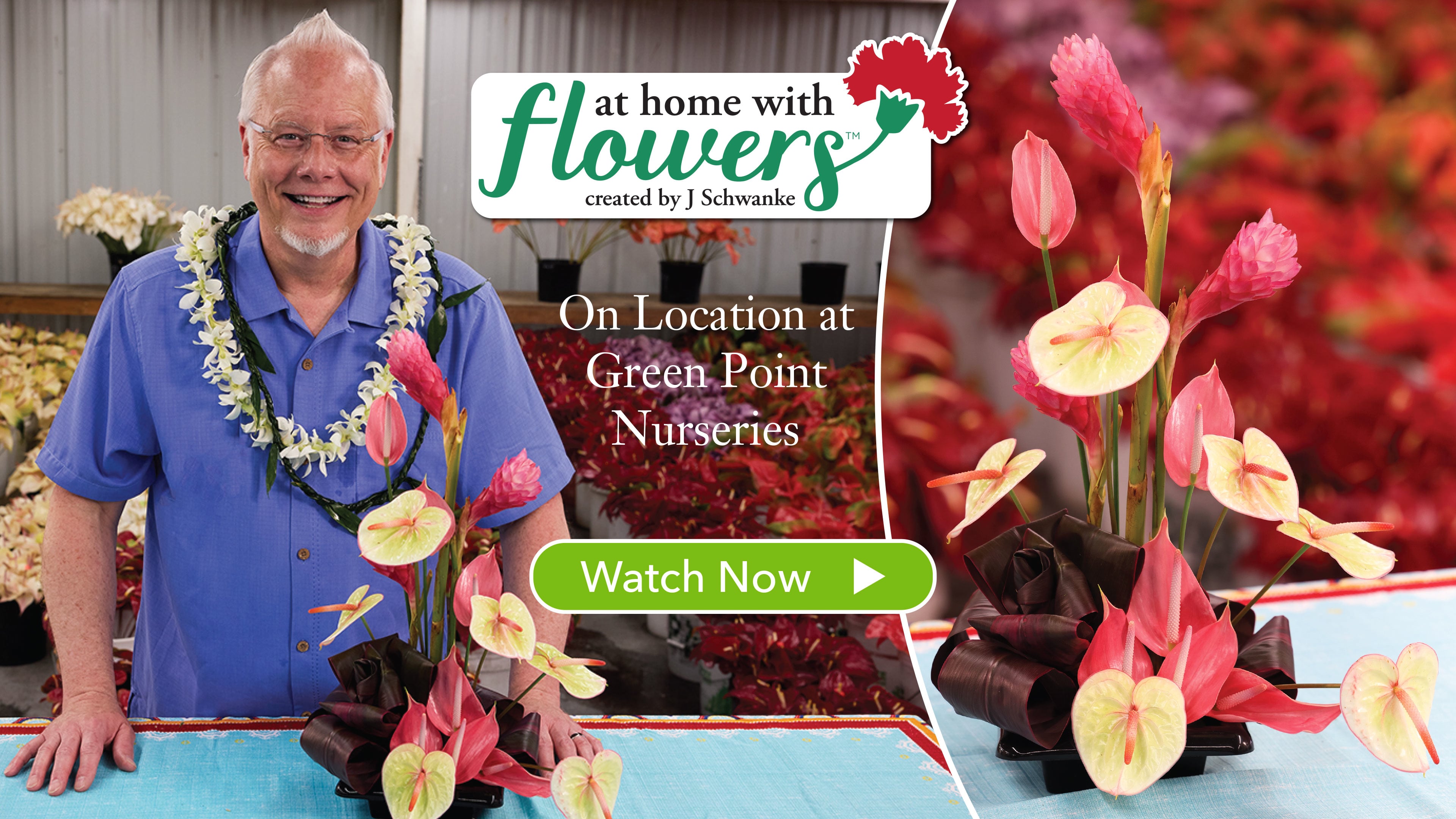 Arranging Flowers on Location at Green Point Nurseries!