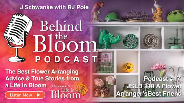 Episode 17- Companion Episode #110 - ...