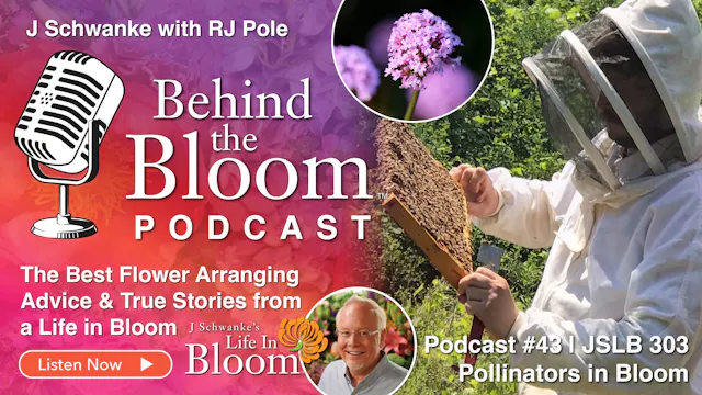 Episode 43- Companion to #303 Pollina...