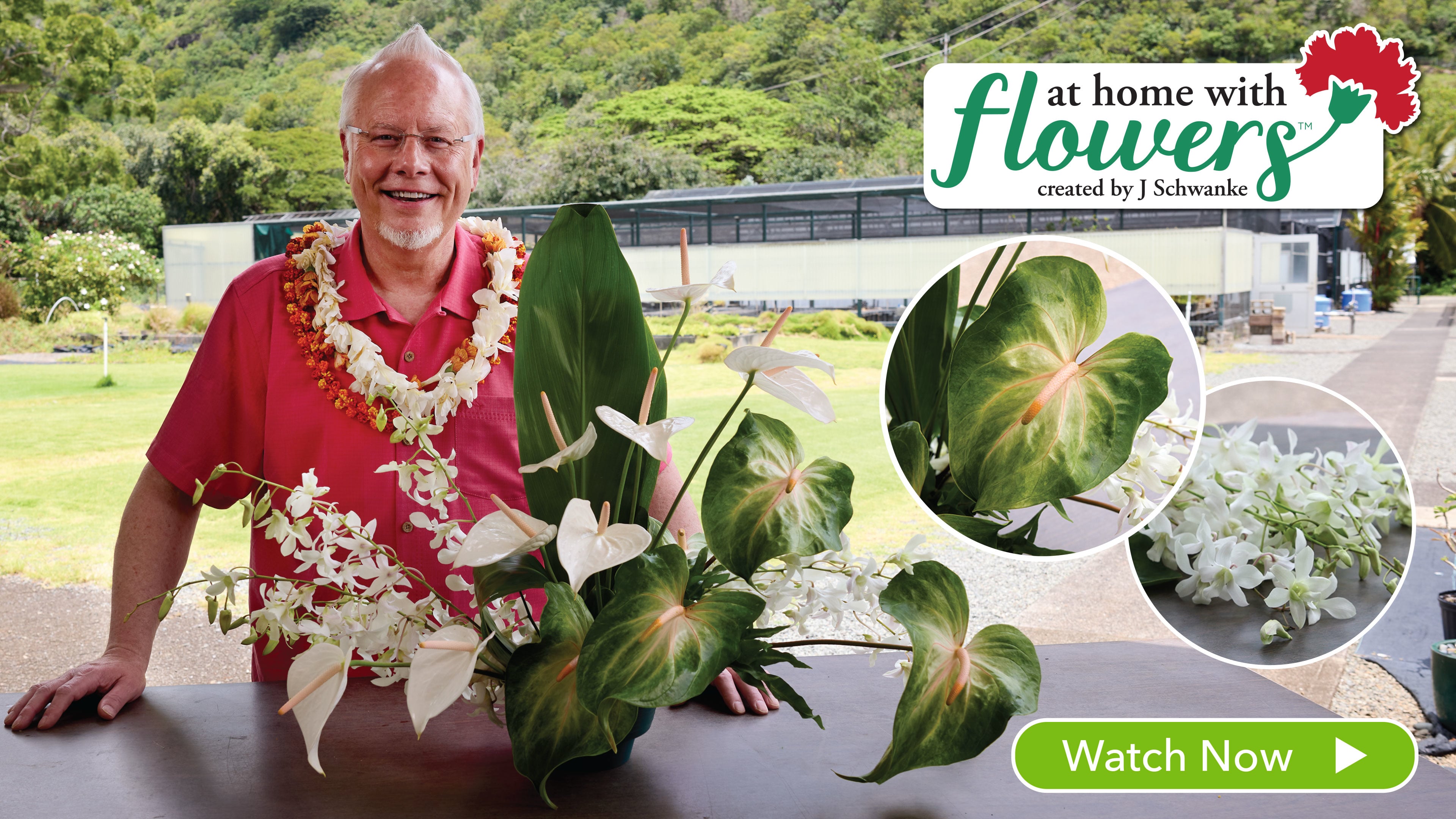 Anthurium at the Magoon Research Station!