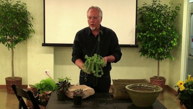 How to Plant a Container Garden!