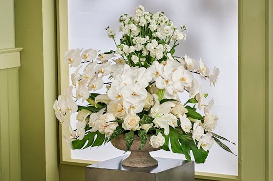 Phalaenopsis Orchid Event Centerpiece!