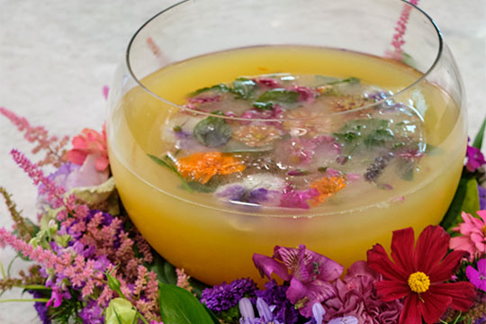 JSLB-307-Punch-with-Flower-Filled-Ice.pdf