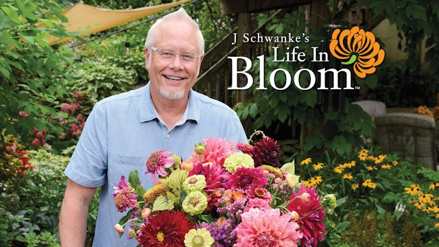 Life in Bloom Season 6