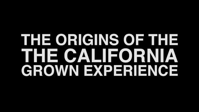 The CA Grown Experience : The Origins...