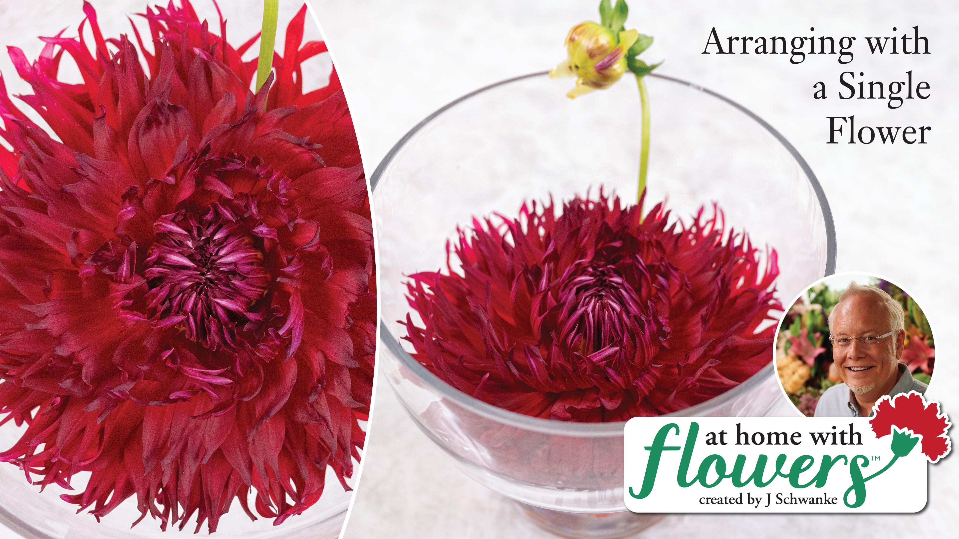 Simple Arranging with ONE Flower!