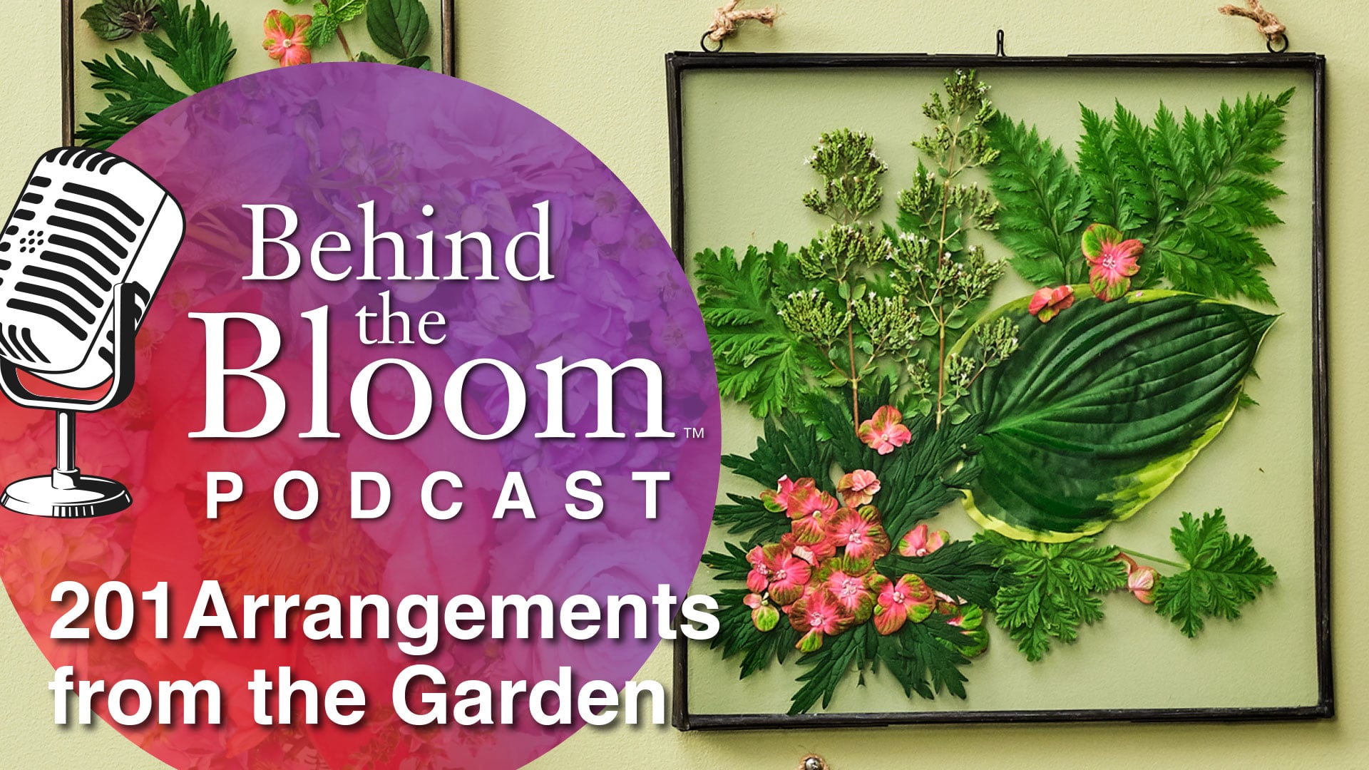 Episode 23- Companion Podcast to Episode #201 - Arrangements from the Garden