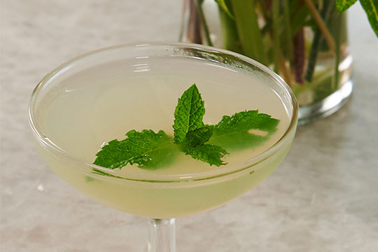 JSLB-402-Verdant-Lady.pdf