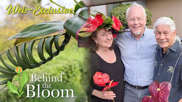Behind the Bloom – Phil and Cathy Rul...