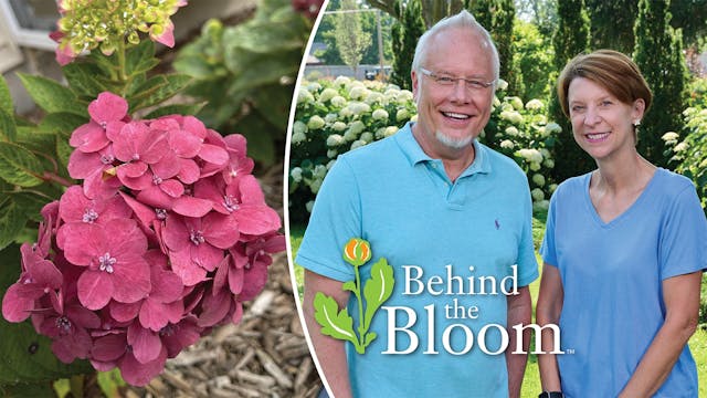 Behind the Bloom with Natalie Carmolli!