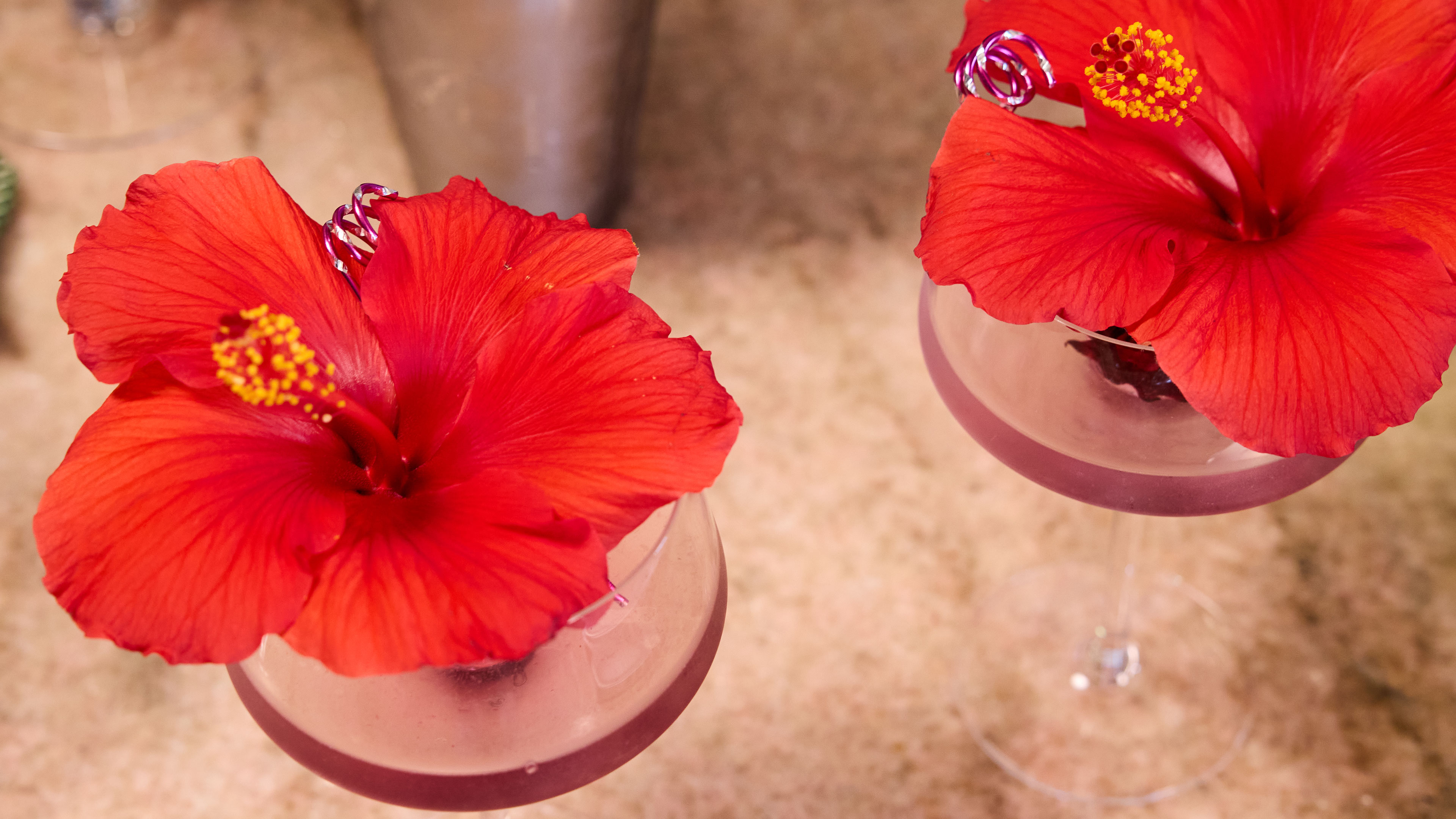 JSLB-701-Hibiscus-Bloom-Cocktail.pdf