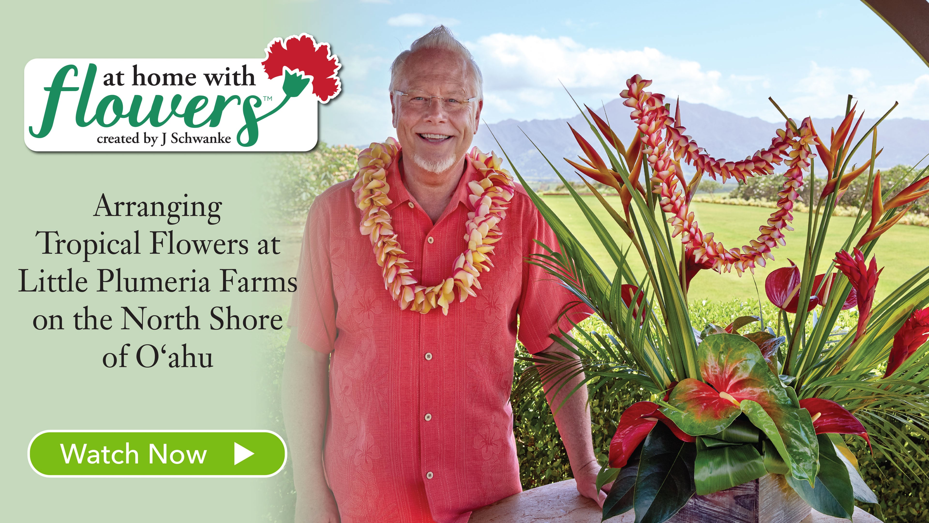 Lei Aloha Arrangement at Little Plumeria Farm