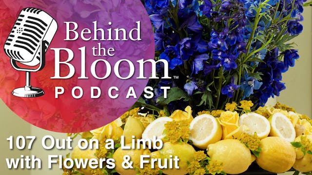 Episode 13- Companion Podcast to Epis...