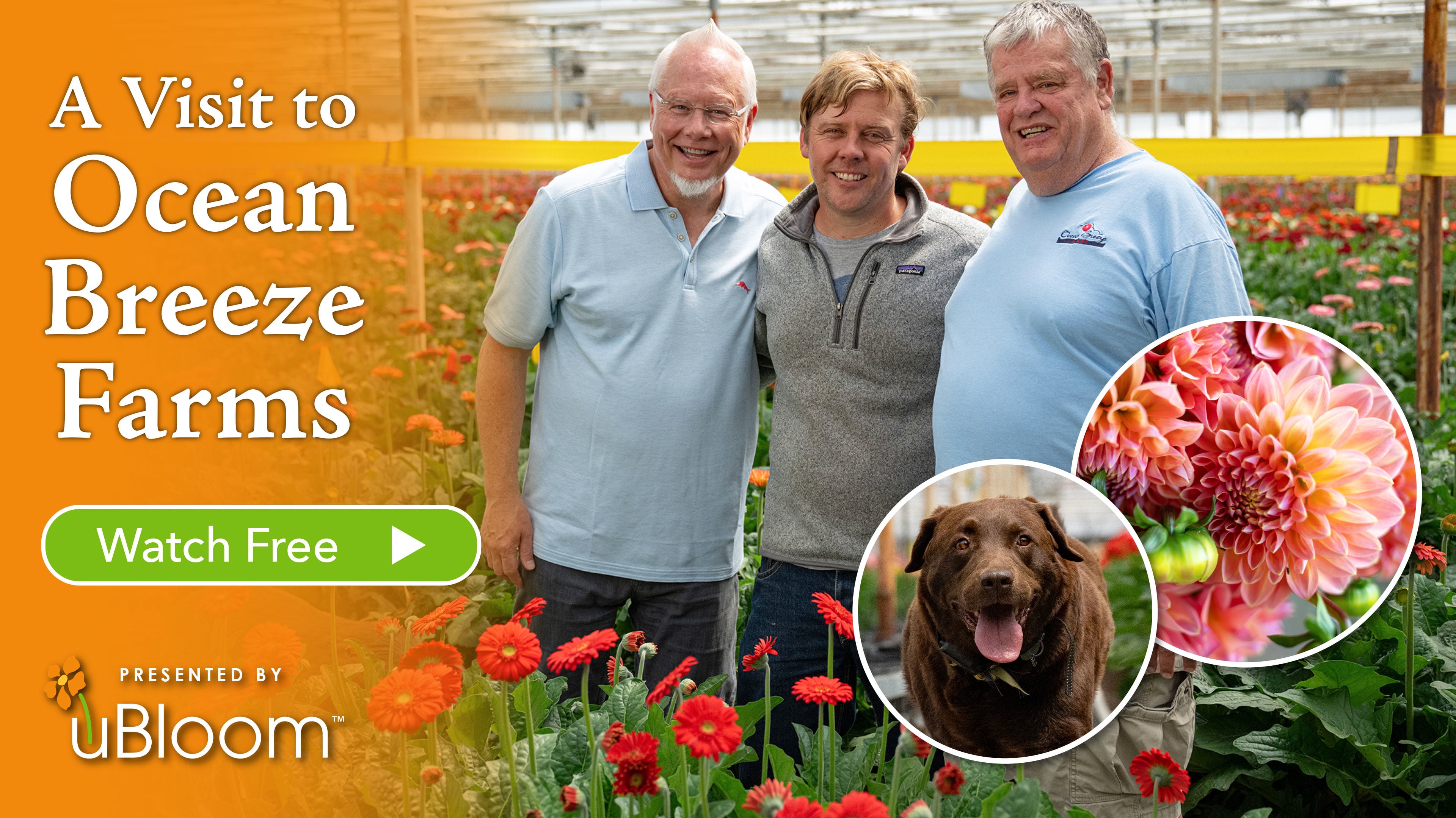 A Visit to Ocean Breeze- with René and Ivor Van Wingerden!