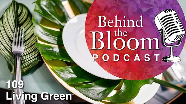 Episode 15 - Companion Podcast to Epi...