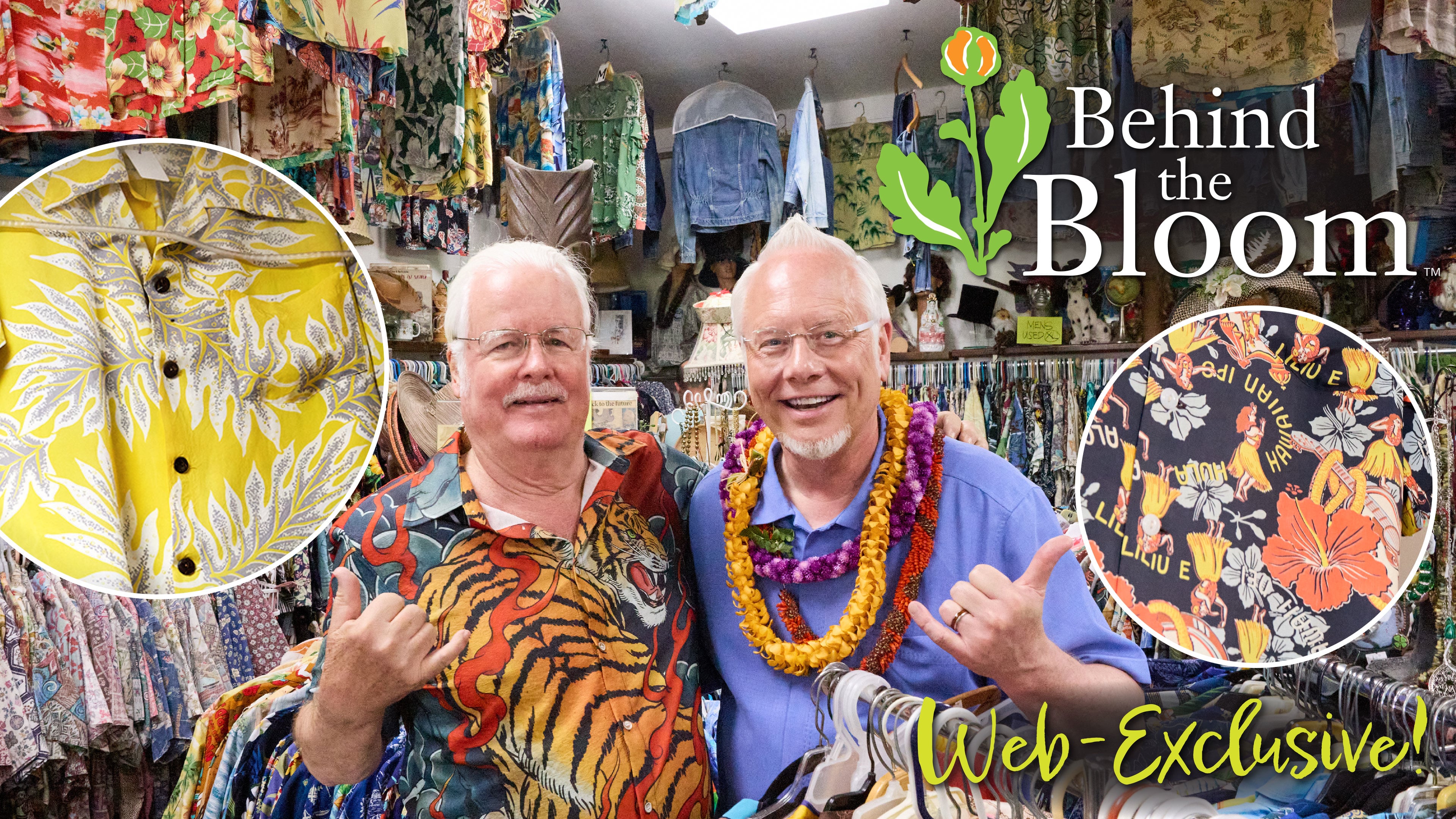 Behind the Bloom- Bailey's Antiques & Aloha Shirts!