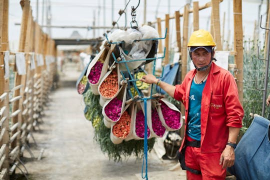 The Flowers Of Colombia- A Culture of...