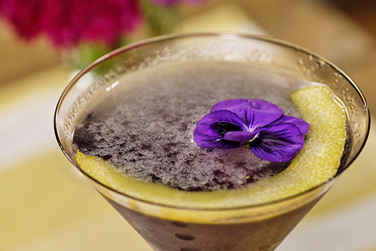 JSLB-212-Violette-Avaition.pdf