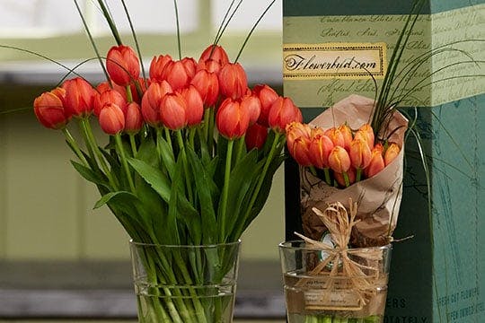 Tulips- From Flowerbud.com