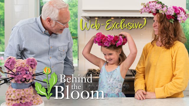 Behind the Bloom- Flower Kitty- with ...