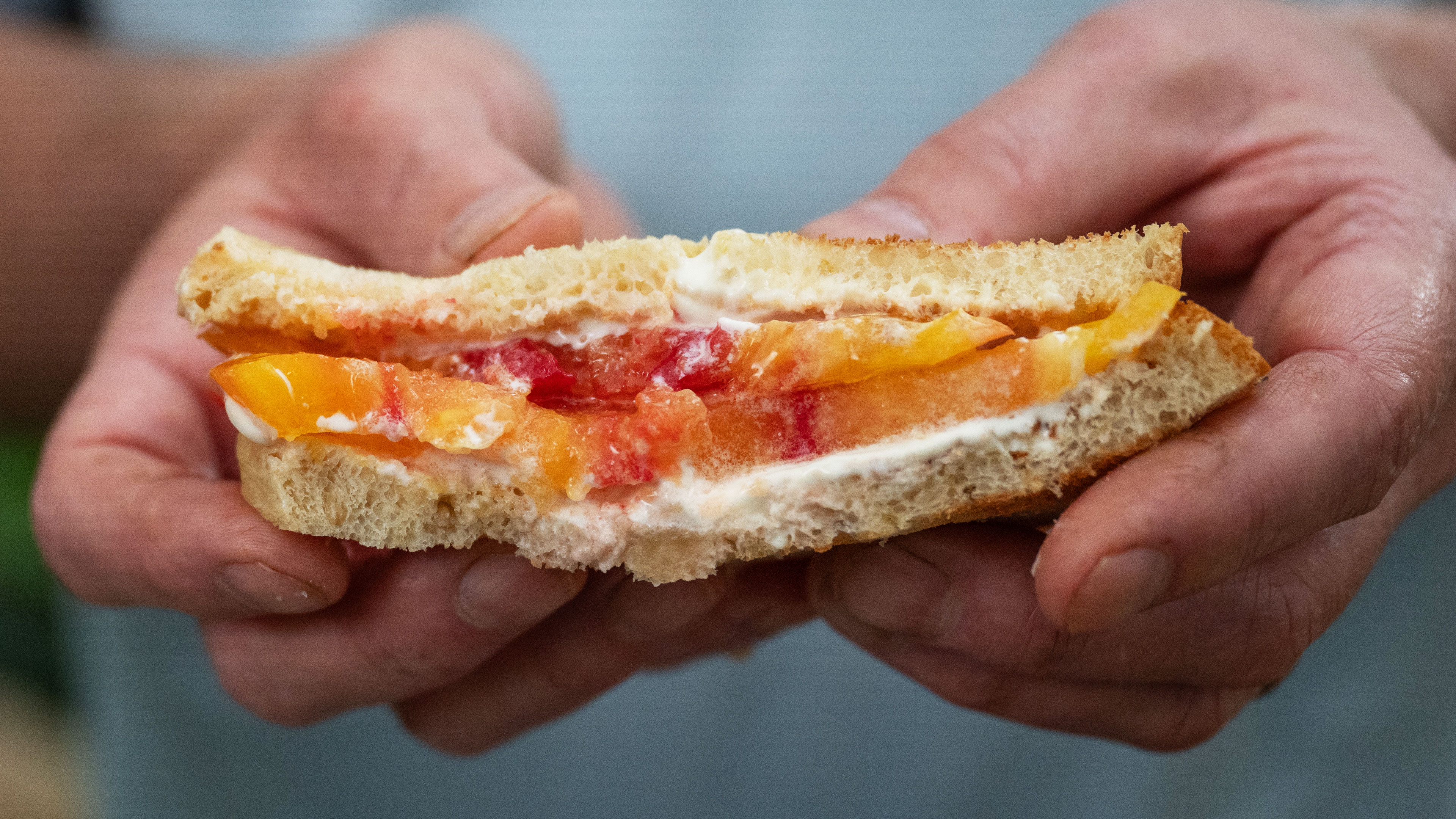 JSLB-812-Toasted-Tomato-Sandwich.pdf