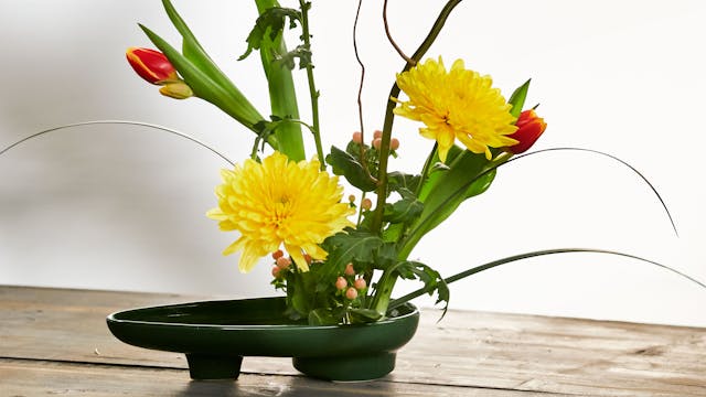 Pretty- Ikebana Arrangement 