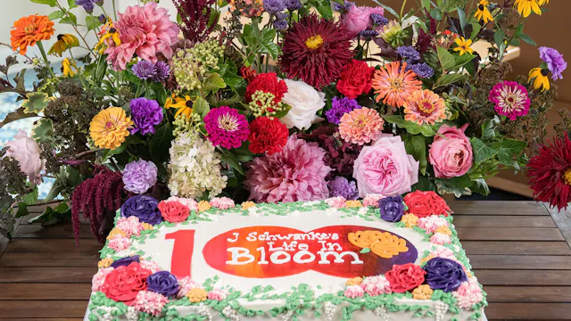 Episode #805 - 100 Blooms