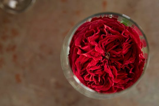 Wine Inspired Flowers for Entertaining!