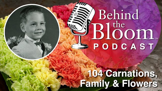 Episode 8- Companion #104 Carnations,...