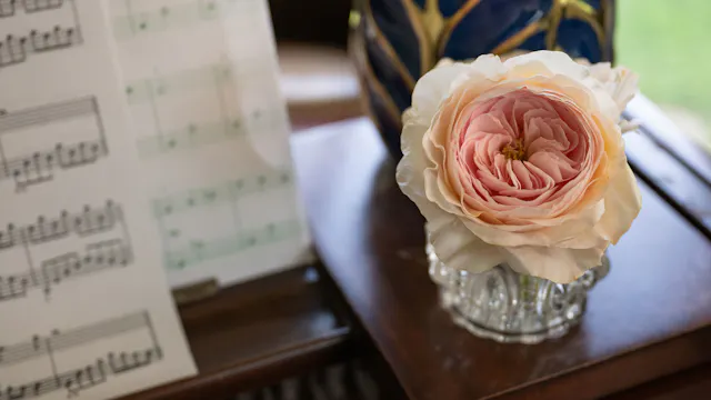 Episode #807 - Beauty Blooms