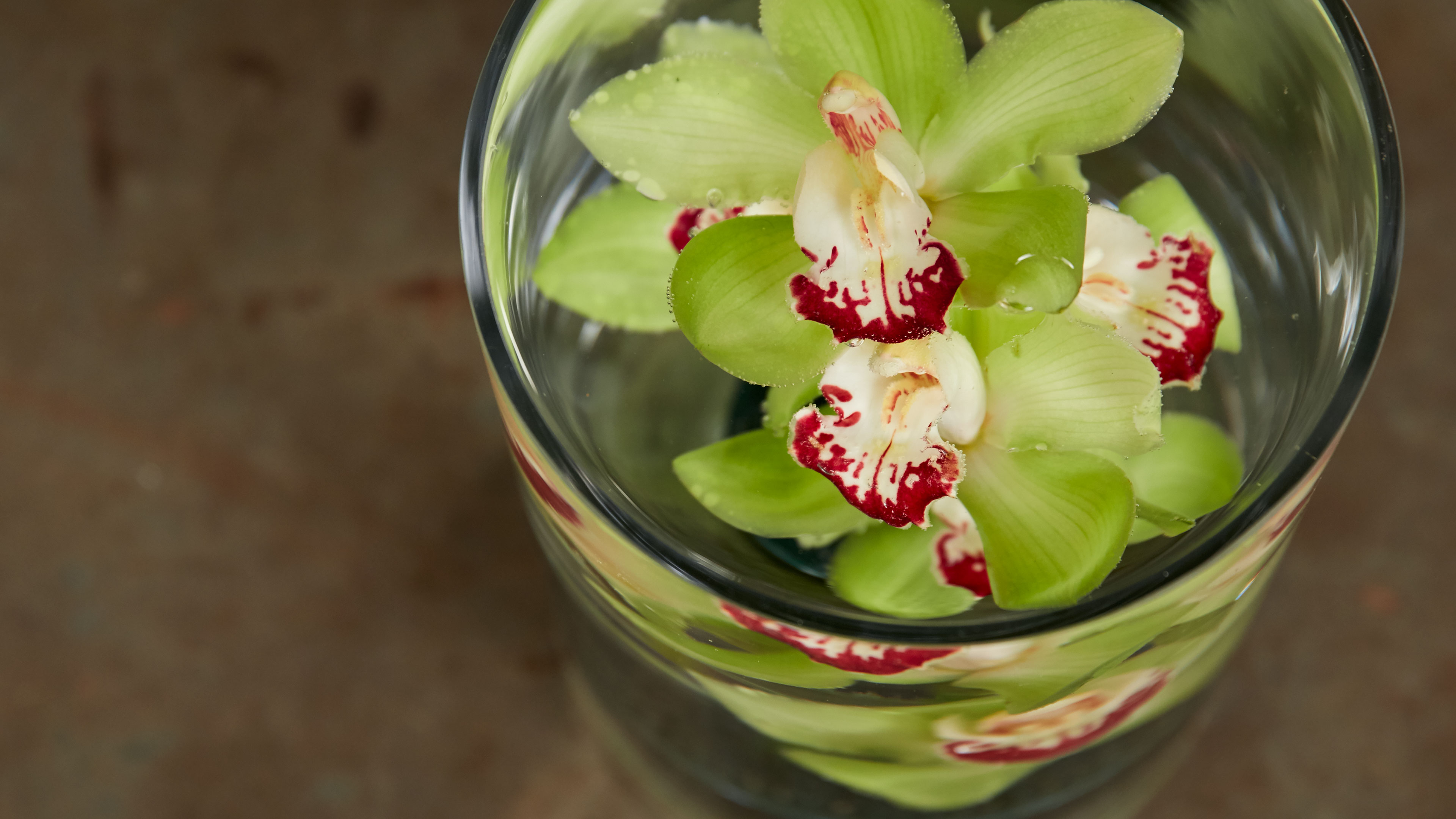 Pretty- Submerged Flower Centerpiece