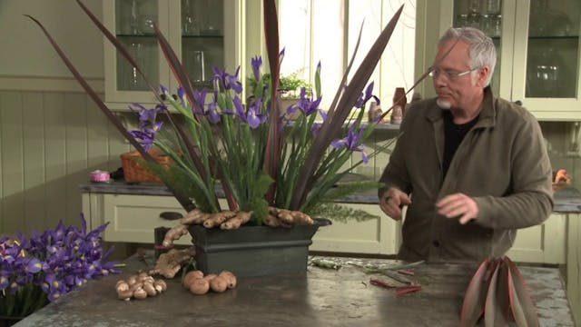 How to Create an Iris Field Arrangement!