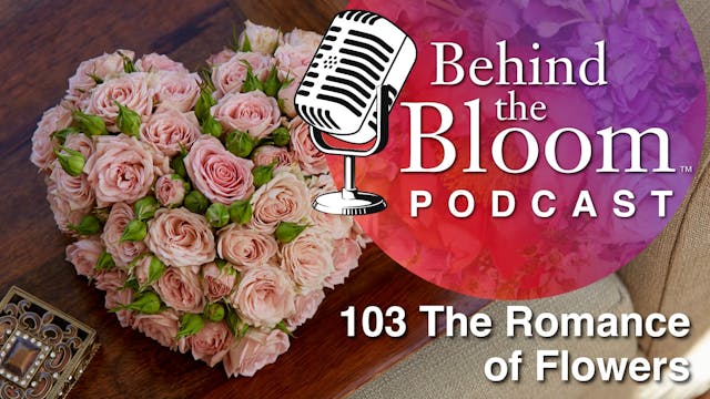 Episode 6 - Companion Episode to Life...