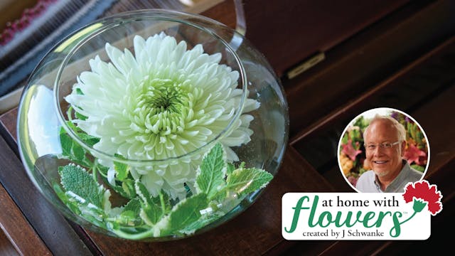 Chrysanthemum Centerpiece!