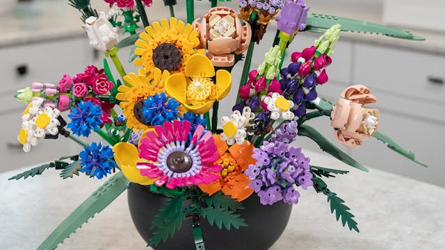 Episode #709 - Flowers for Now and Later