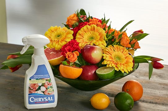 Fruit and Flowers Centerpiece!