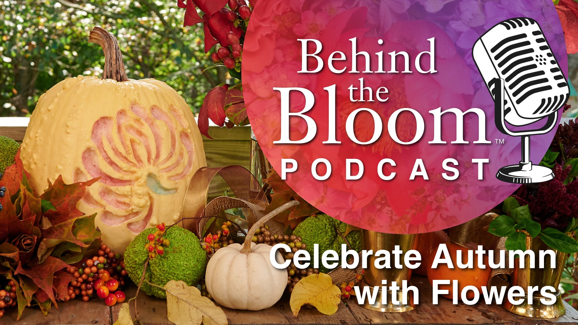 Episode 11- Celebrate Autumn with Flowers